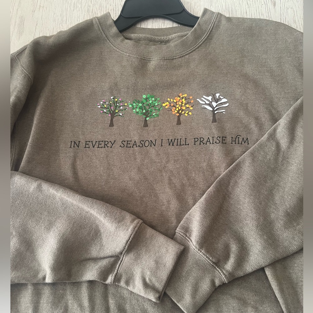 Women's Brown Crew Neck Sweater